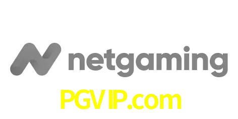 NetGaming